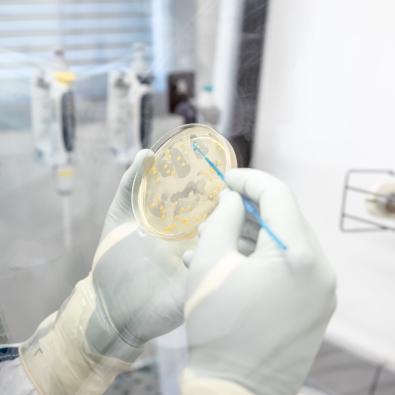 Biological analysis
