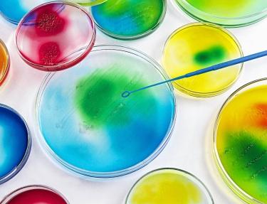 Biological services